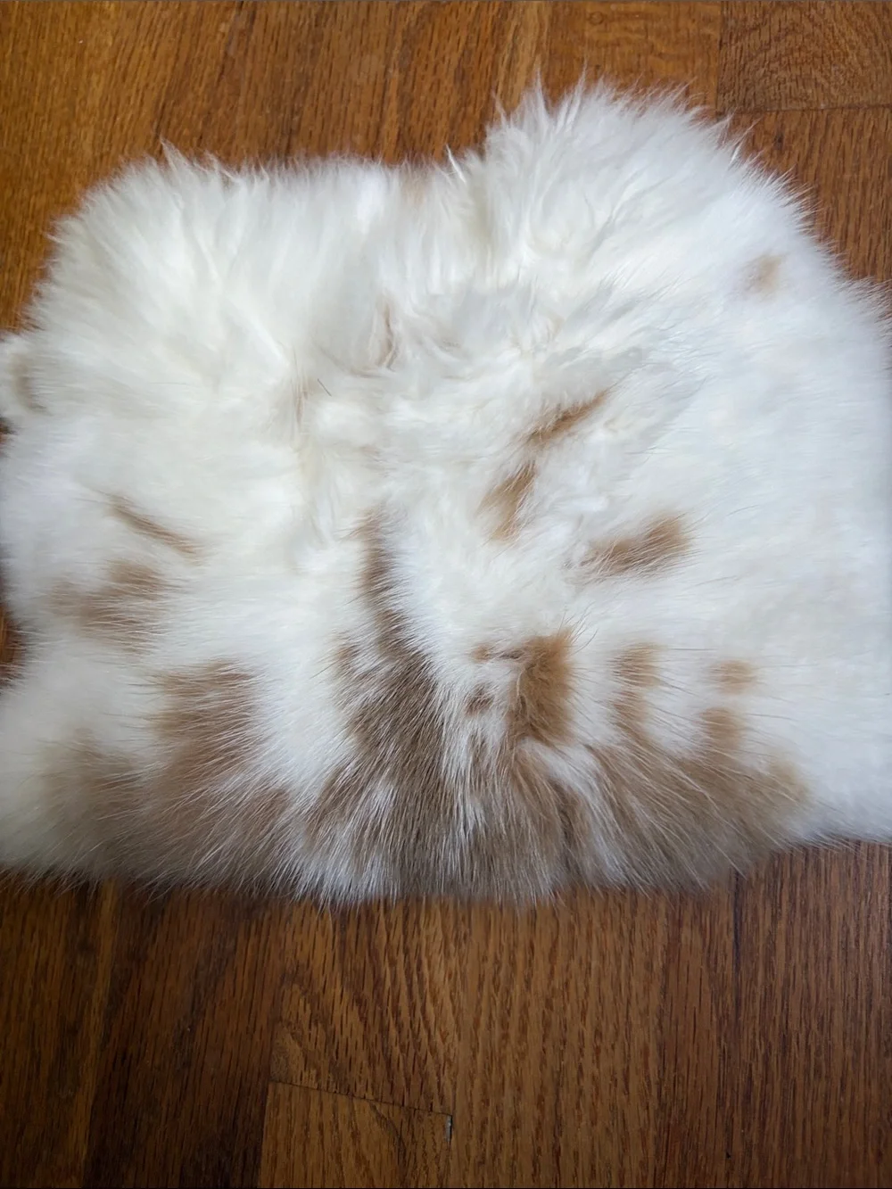 0057 Genuine Rabbit Fur Pelt – White & Natural Tan Brown